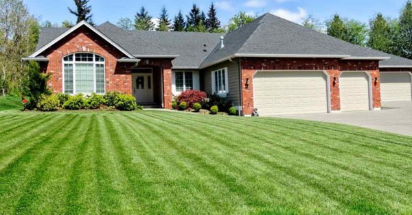 How Overseeding Can Improve Your Lawn